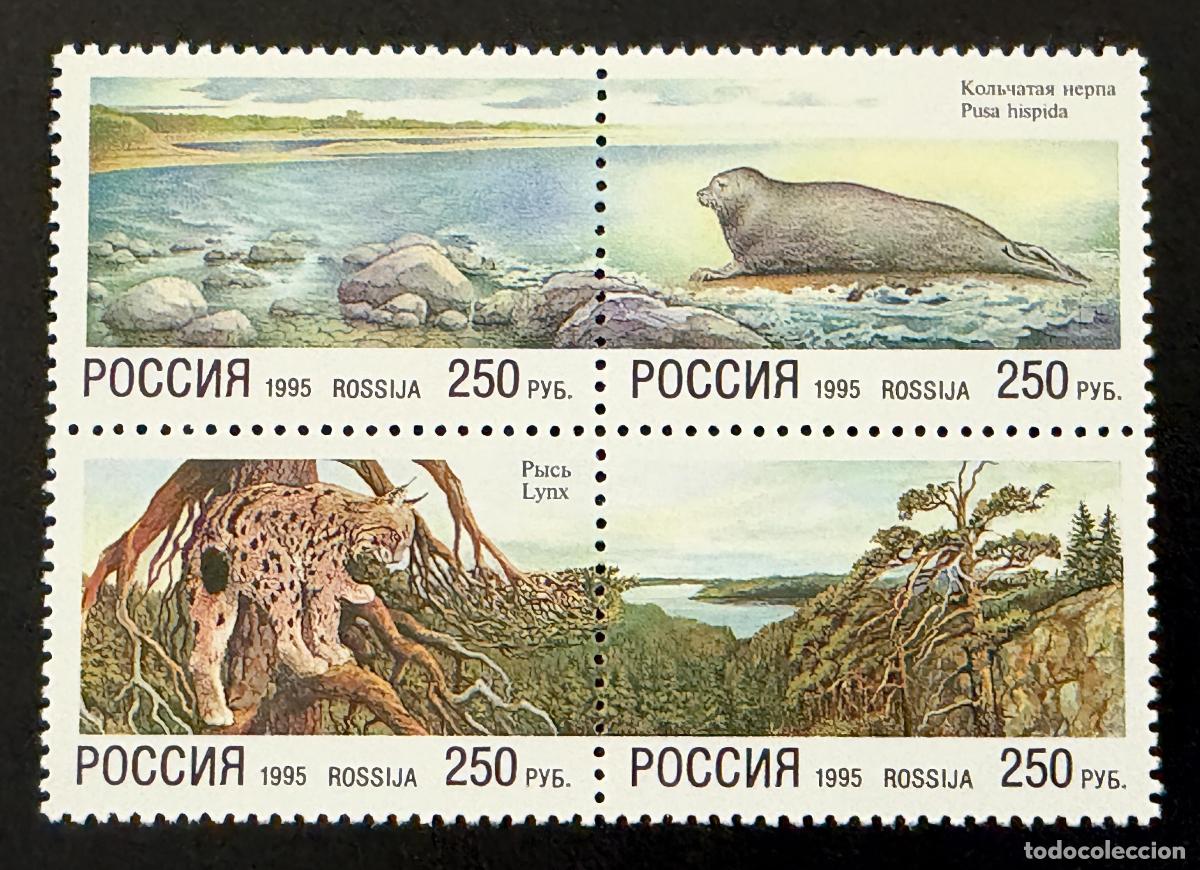 Sellos: Rusia 1995 Mi. 422-425 emisi&oacute;n conjunta fauna foca lince naturaleza