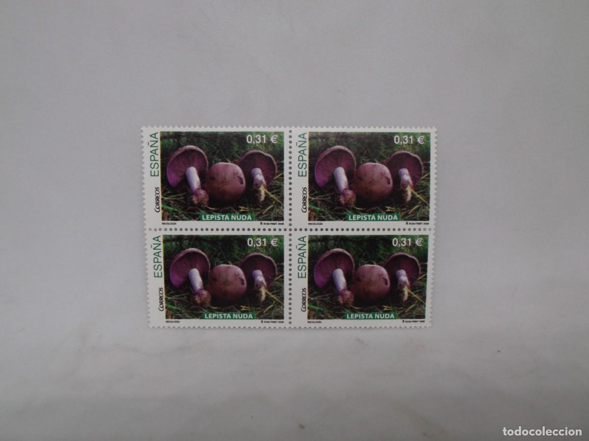 Francobolli: Espa&ntilde;a 2008 Micolog&iacute;a Lepista Nuda.Bloque de cuatro nuevos