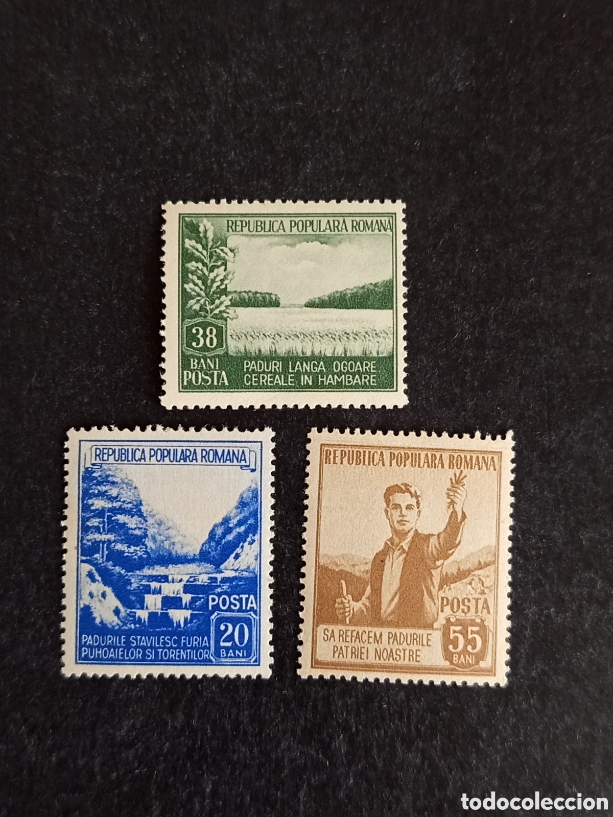 Sellos: Ruman&iacute;a, 1953. Mes de los bosques y la selva. Yv. 1312/4. Serie completa. Pedido m&iacute;nimo 3 &euro;.