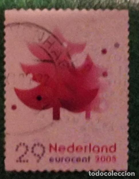 Sellos: SELLO USADO HOLANDA 2005 NAVIDAD - Foto 1