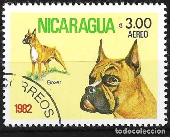 Sellos: Nicaragua 1982 - Mi 2250 - YT Pa 981 - Perro : Boxer ( A&eacute;reo )