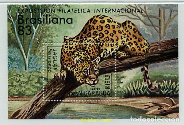 Sellos: 54604 MNH NICARAGUA 1983 BRASILIANA 83. EXPOSICION FILATELICA INTERNACIONAL