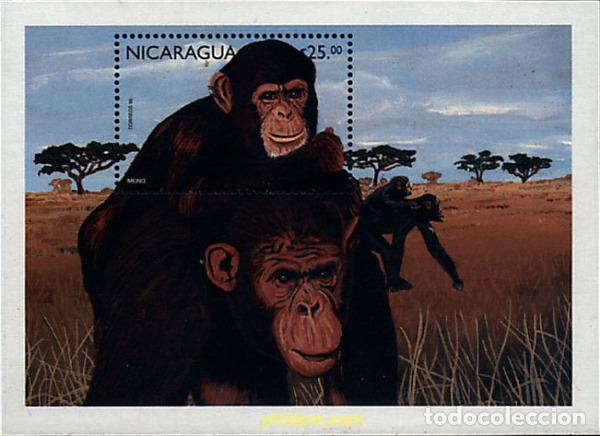 Sellos: 347786 MNH NICARAGUA 1999 PROTECCION DE LA FAUNA