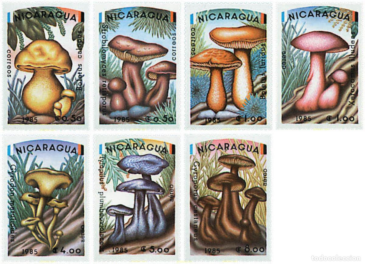 Briefmarken: 37521 MNH NICARAGUA 1985 SETAS