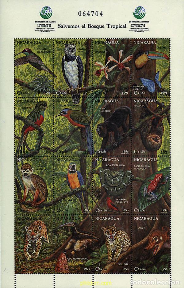 Briefmarken: 368822 MNH NICARAGUA 1992 CUMBRE DE LA TIERRA
