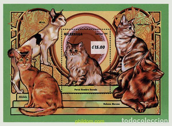 Sellos: 70176 MNH NICARAGUA 1994 GATOS