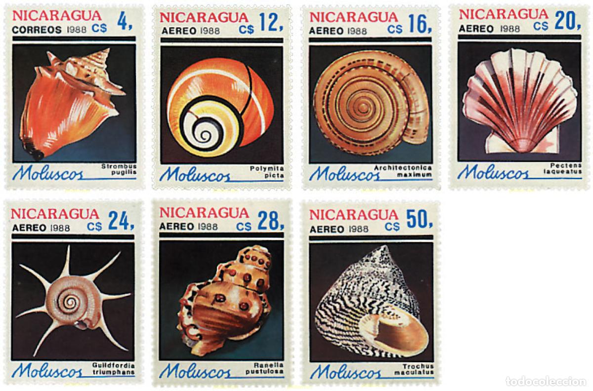 Sellos: 68843 MNH NICARAGUA 1988 CONCHAS