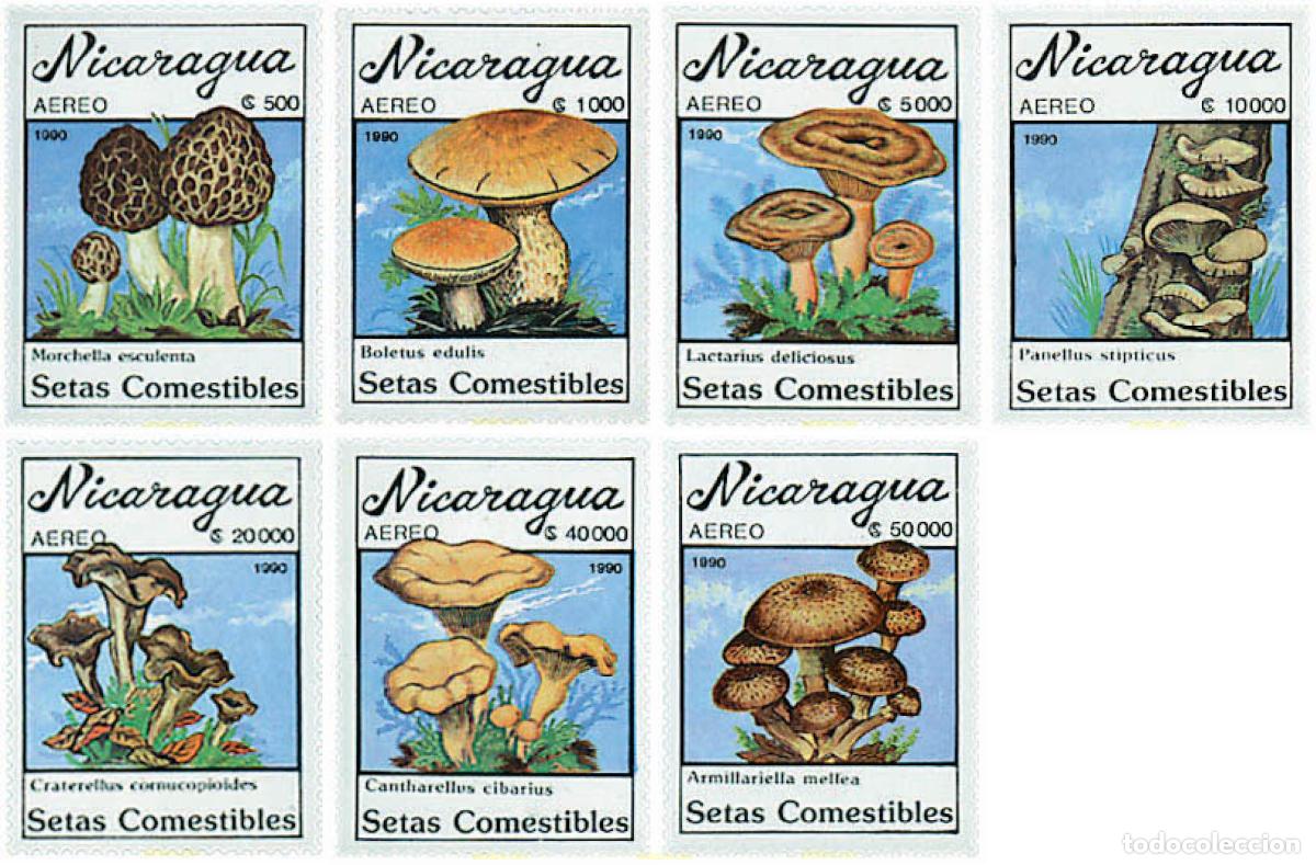 Sellos: 38103 MNH NICARAGUA 1990 SETAS COMESTIBLES