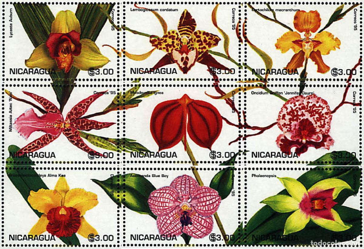 Sellos: 347773 MNH NICARAGUA 1995 ORQUIDEAS