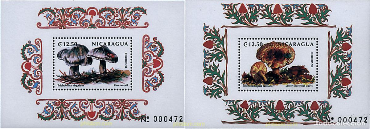 Sellos: 54847 MNH NICARAGUA 1999 SETAS