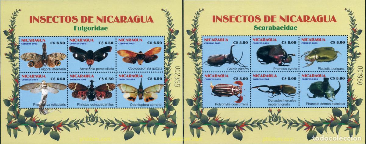Sellos: 228918 MNH NICARAGUA 2003 INSECTOS
