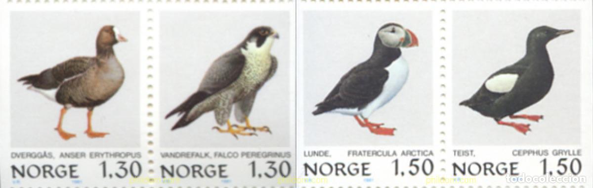 Sellos: 170701 MNH NORUEGA 1981 AVES