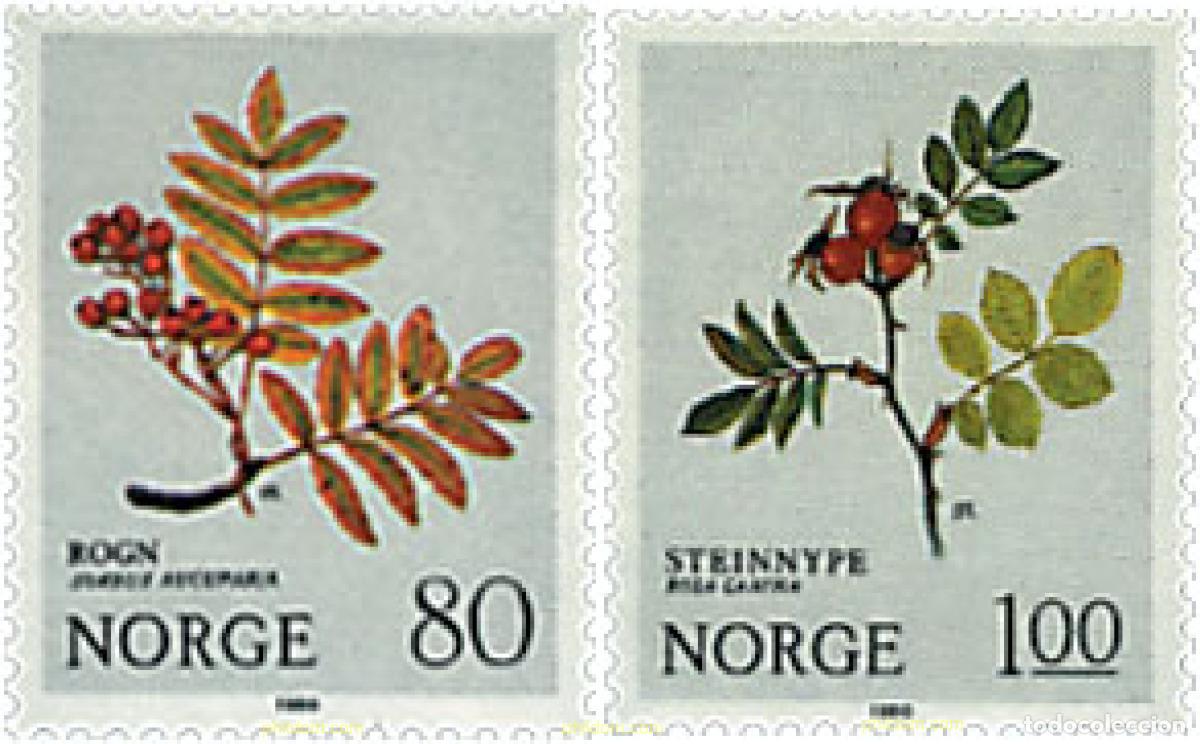 Sellos: 37099 MNH NORUEGA 1980 PLANTAS SALVAJES