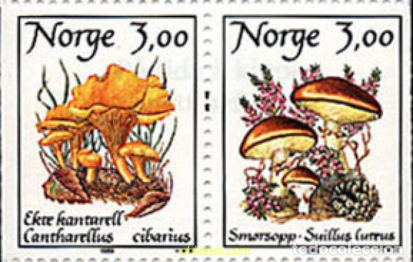 Sellos: 348442 MNH NORUEGA 1989 SETAS