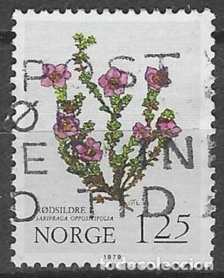 Sellos: NORUEGA 1979 - FLORES DE LAS MONTA&Ntilde;AS, SAX&Iacute;FRAGA P&Uacute;RPURA - USADO