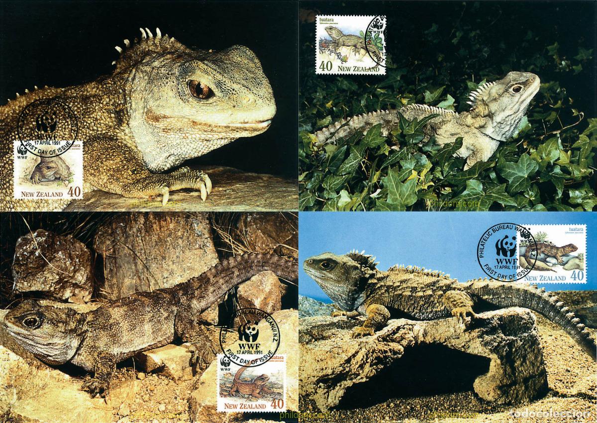 Sellos: 7573 MNH NUEVA ZELANDA 1991 TUATARA