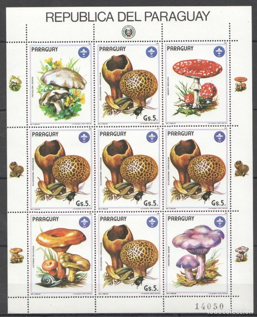 Briefmarken: PARAGUAY 1984 SHEET MNH MUSHROOMS CHAMPIGNONS SETAS PILZE FUNGHI COGUMELOS