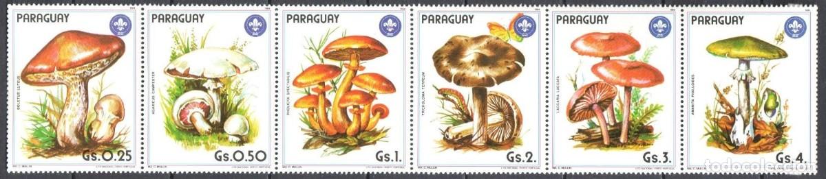 Briefmarken: PARAGUAY 1984 SERIE 6 STAMPS MNH MUSHROOMS CHAMPIGNONS SETAS PILZE FUNGHI COGUMELOS