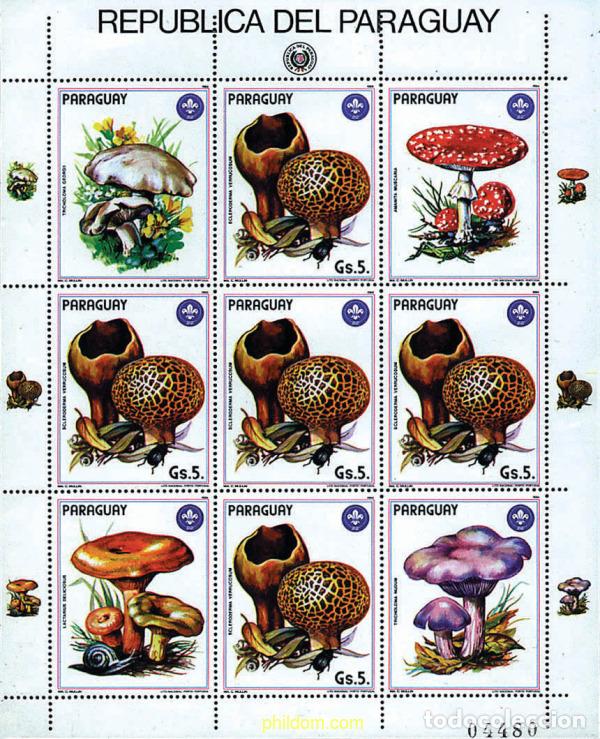 Selos: 8674 MNH PARAGUAY 1985 SETAS