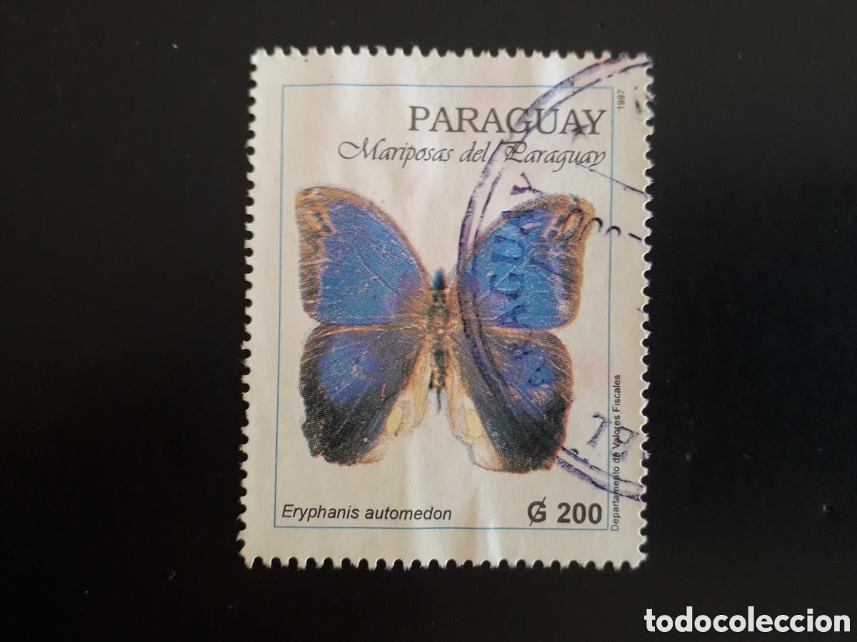 Sellos: PARAGUAY YVERT 2716 SELLO SUELTO USADO 1997 FAUNA INSECTOS MARIPOSAS PEDIDO M&Iacute;NIMO 3&euro;
