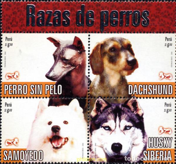 Sellos: 277461 MNH PERU 2007 PERROS - Foto 1