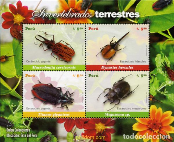 Sellos: 217729 MNH PERU 2007 INSECTOS - Foto 1