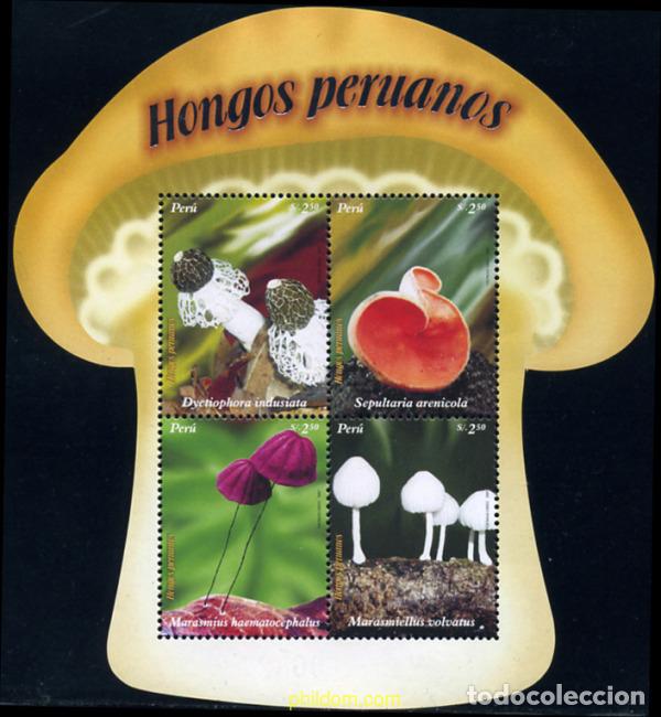 Sellos: 227170 MNH PERU 2007 SETAS - Foto 1