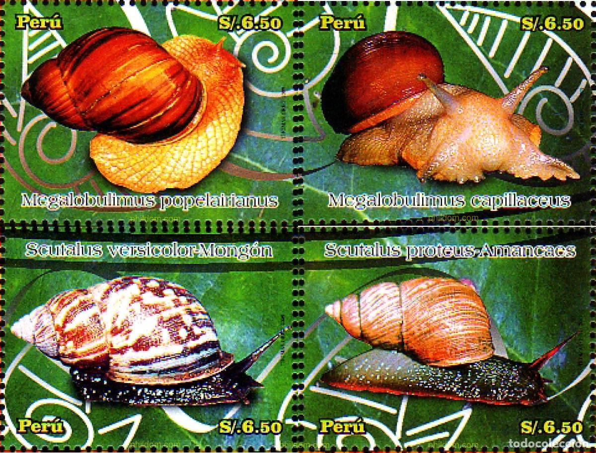 Sellos: 234798 MNH PERU 2009 CARACOLES - Foto 1