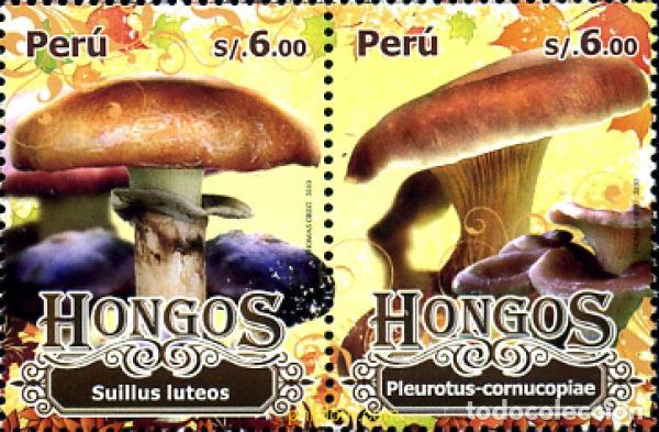 Sellos: 351997 MNH PERU 2010 SETAS - Foto 1