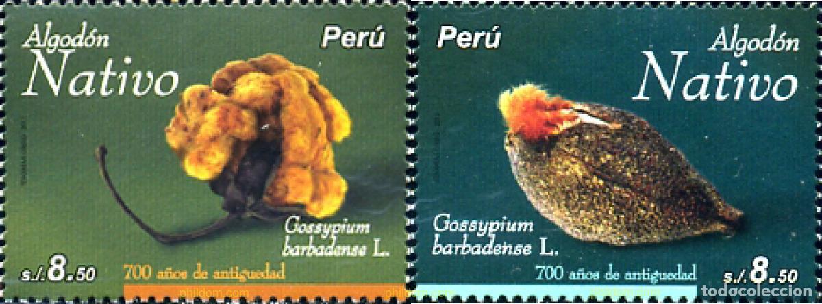 Sellos: 272916 MNH PERU 2011 ALGODON NATIVO - Foto 1