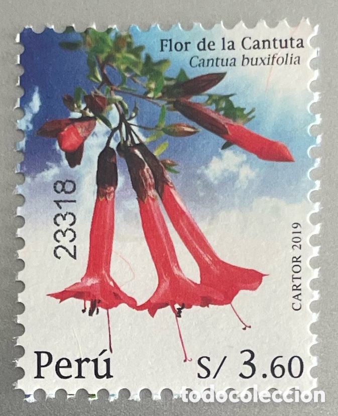 Sellos: Per&uacute;. Flores. Cantuta. 2020 - Foto 1