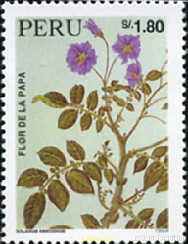 Sellos: 660856 MNH PERU 1995 LA PATATA