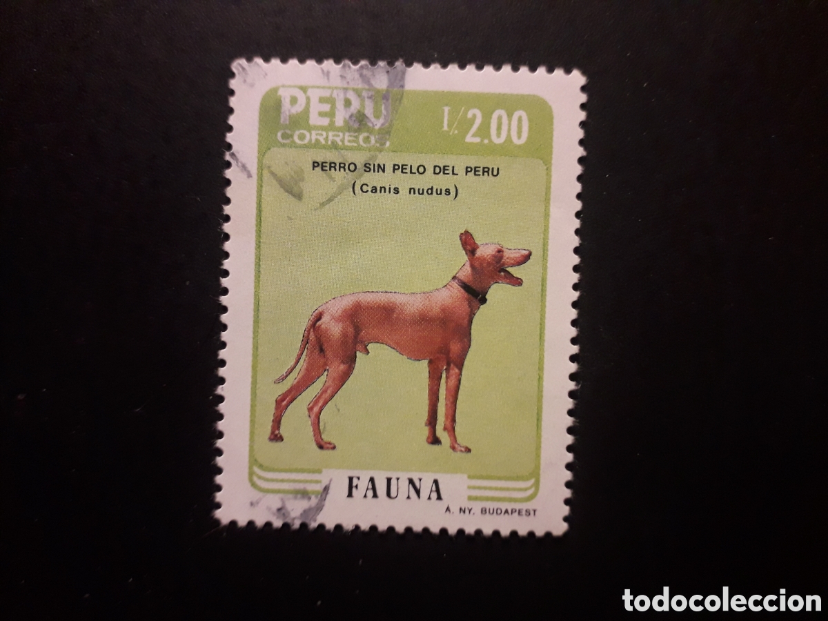 Sellos: PER&Uacute;, YVERT 843 SERIE COMPLETA USADA 1986 FAUNA PERROS PEDIDO M&Iacute;NIMO 3&euro;