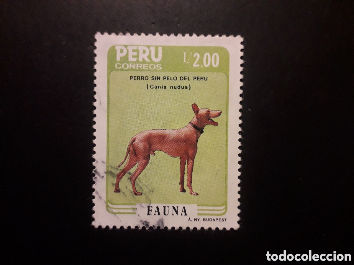 Sellos: PER&Uacute;, YVERT 843 SERIE COMPLETA USADA 1986 FAUNA PERROS PEDIDO M&Iacute;NIMO 3&euro;