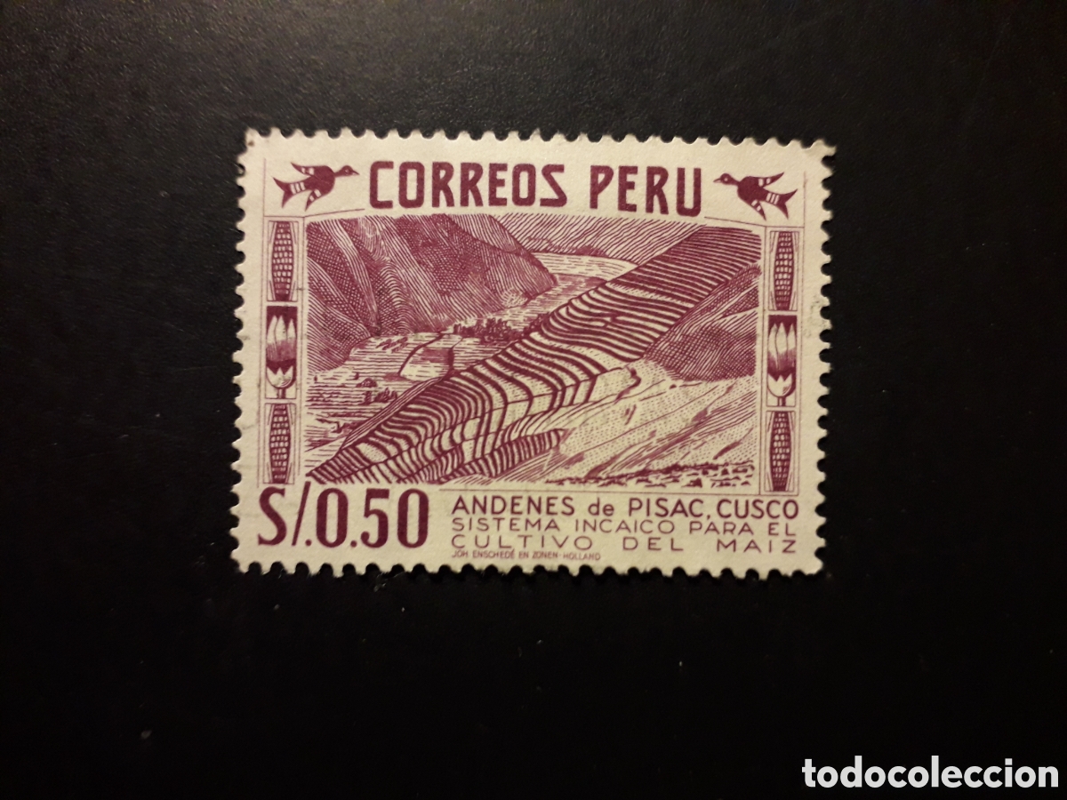 Sellos: PER&Uacute; YVERT 448 SELLO SUELTO USADO 1960 AGRICULTURA, CULTIVO DE MAIZ PEDIDO M&Iacute;NIMO 3&euro;