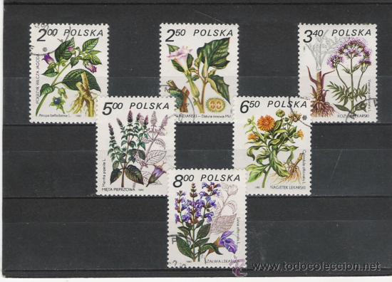 Sellos: POLONIA SERIE DE FLORA - Foto 1