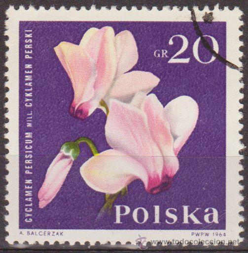 polonia 1964 scott 1279 sello º flora flor viol - Compra venta en  todocoleccion