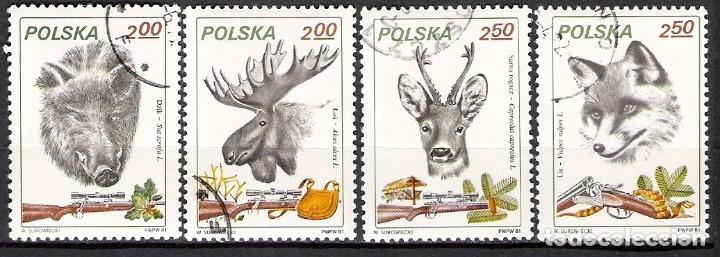Sellos: POLONIA 1981 - USADO - Foto 1