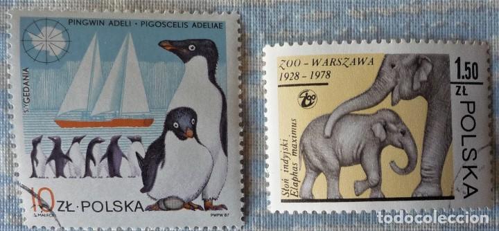 Sellos: DOS SELLOS DE POLONIA - Foto 1