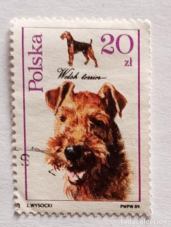 Sellos: Pol&oacute;nia 1989, perros - Foto 1