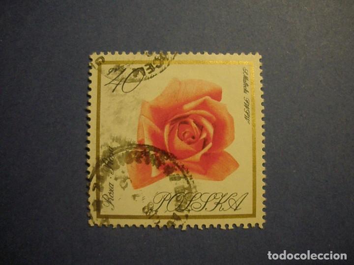 Sellos: POLONIA - FLORA - ROSA. - Foto 1