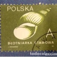 Sellos: POLONIA 1990. CONCHAS 1990. GREAT POND SNAIL (LYMNAEA STAGNALIS) YT:PL 3078A,. Lote 378977234