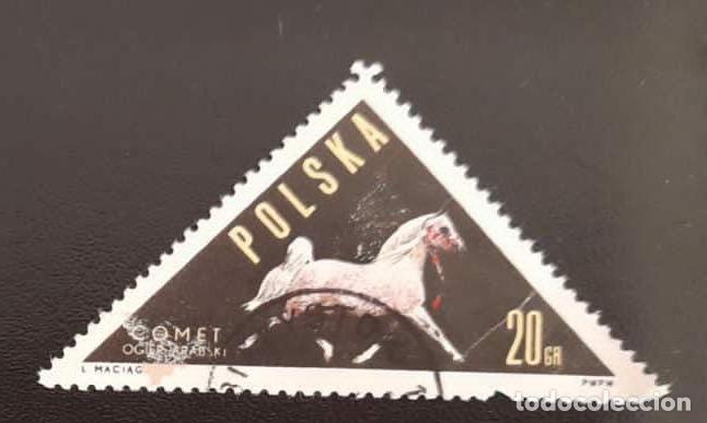 Sellos: SD)1963, POLAND, HORSES, TRIANGULAR STAMP, COMETA, USED - Foto 1