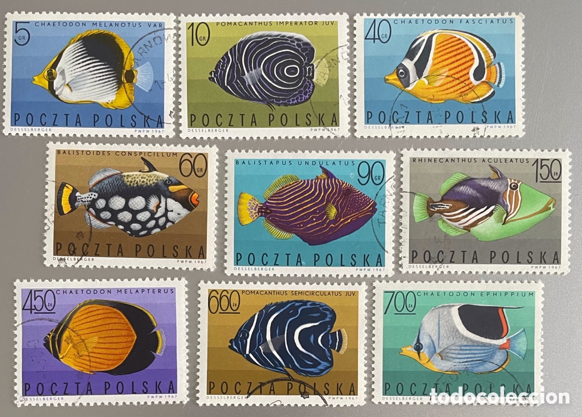 Sellos: Polonia. Peces. 1967 - Foto 1