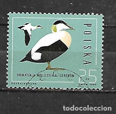 Sellos: 1985: Patos - Eider com&uacute;n (CTO)