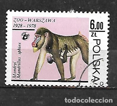 Sellos: 1978: Animales del zoo de Varsovia - Mandril (CTO)