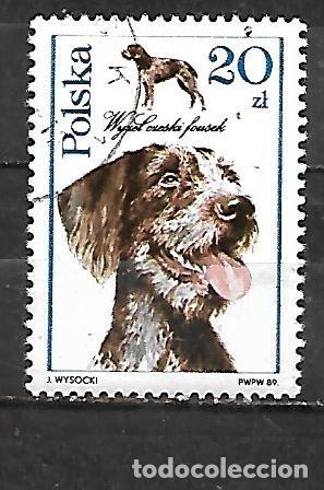 Sellos: 1989: Perros - Pointer checo (CTO)