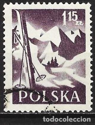 Sellos: Polonia 1956 - Mi 969 - YT 860 - Esqu&iacute; y paisaje monta&ntilde;oso