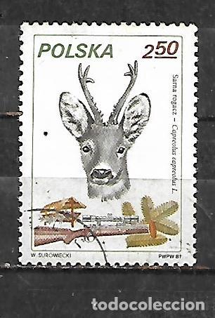 Sellos: 1981: Caza - Venado (CTO)