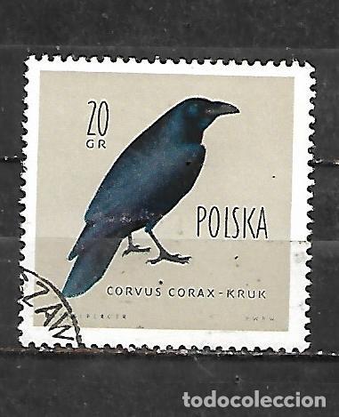 Sellos: 1960: P&aacute;jaros protegidos - Cuervo (CTO)